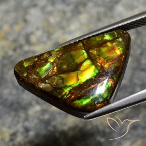 amolita Multicolorido Natural 11.39ct, Chique, Opaco