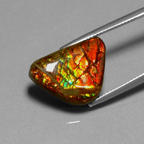 Ammolita multicolorido natural 11,49ct, forma extravagante, opaco