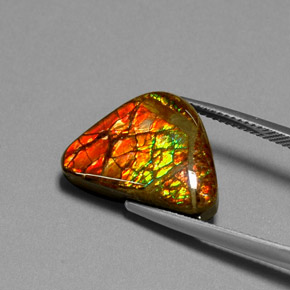 Ammolita multicolorido natural 11,49ct, forma extravagante, opaco