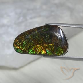 amolita Multicolorido Natural 11.60ct, Chique, Opaco