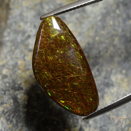 11.88ct Natural Multicolorido amolita, Chique, Opaco
