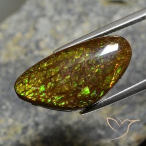 amolita Multicolorido Natural 11.88ct, Chique, Opaco