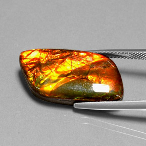 Ammolita multicolorido natural 11,92ct, forma extravagante, opaco