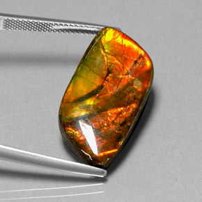 Ammolita multicolorido natural 11,92ct, forma extravagante, opaco
