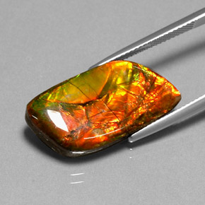 Ammolita multicolorido natural 11,92ct, forma extravagante, opaco