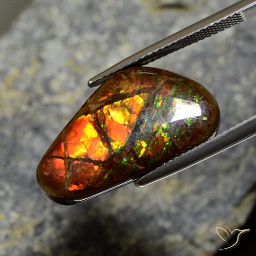 11.96ct Natural Multicolorido amolita, Chique, Opaco