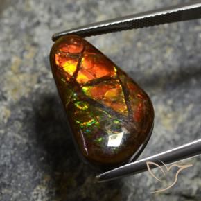 amolita Multicolorido Natural 11.96ct, Chique, Opaco