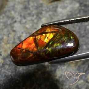 amolita Multicolorido Natural 11.96ct, Chique, Opaco