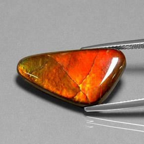 Amolita Multicolorido Natural 12.20ct, Forma extravagante, Opaco