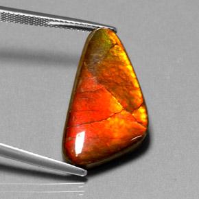 Amolita Multicolorido Natural 12.20ct, Forma extravagante, Opaco