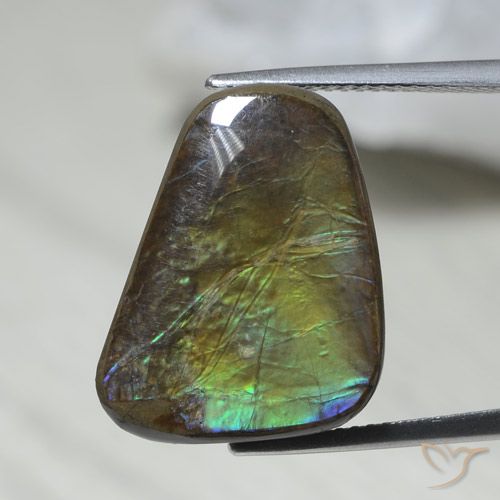 12.08ct Natural Multicolorido amolita, Chique, Opaco