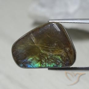 amolita Multicolorido Natural 12.08ct, Chique, Opaco