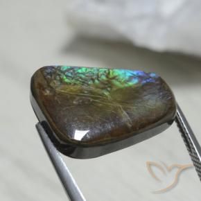 amolita Multicolorido Natural 12.08ct, Chique, Opaco