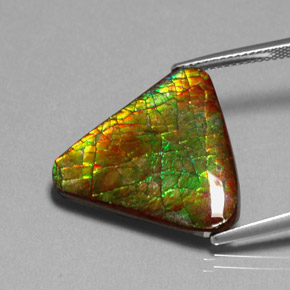 Ammolita multicolorido natural 12,71ct, forma extravagante, opaco