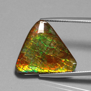 Ammolita multicolorido natural 12,71ct, forma extravagante, opaco