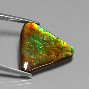 Ammolita multicolorido natural 12,71ct, forma extravagante, opaco