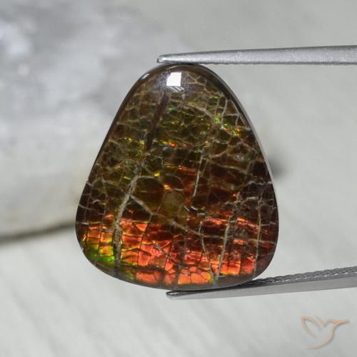 13.62ct Natural Multicolorido amolita, Chique, Opaco