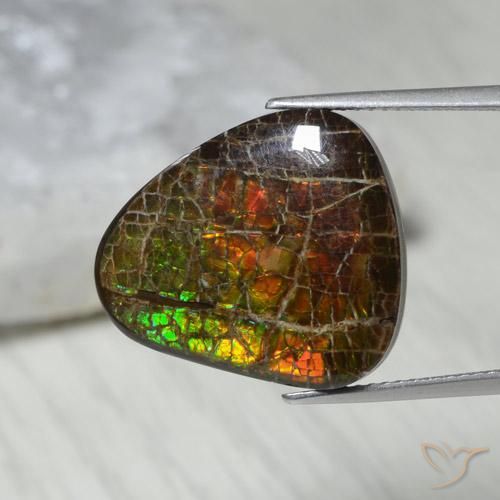 amolita Multicolorido Natural 13.62ct, Chique, Opaco