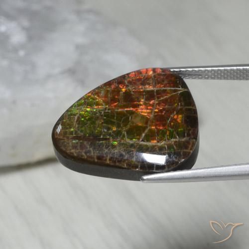 amolita Multicolorido Natural 13.62ct, Chique, Opaco