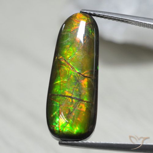 13.66ct Natural Multicolorido amolita, Chique, Opaco