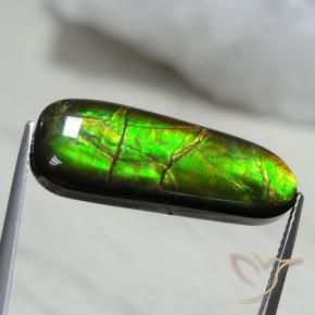amolita Multicolorido Natural 13.66ct, Chique, Opaco