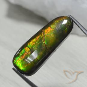 amolita Multicolorido Natural 13.66ct, Chique, Opaco