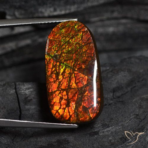 14.13ct Natural Multicolorido amolita, Chique, Opaco