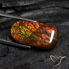 amolita Multicolorido Natural 14.13ct, Chique, Opaco