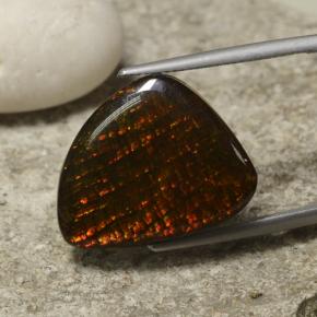 Ammolita multicolorido natural 14,29ct, forma extravagante, opaco