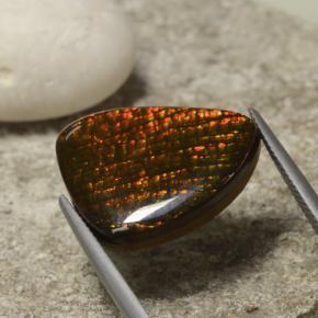 Ammolita multicolorido natural 14,29ct, forma extravagante, opaco