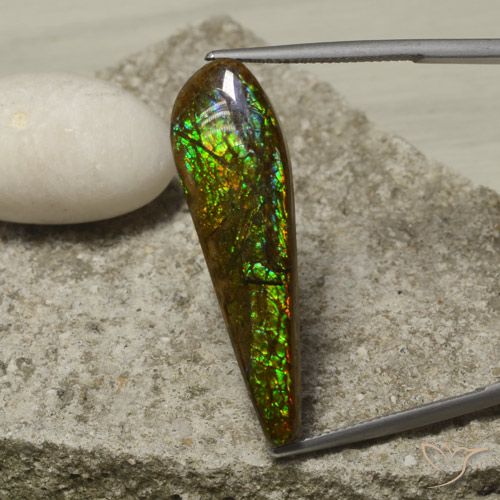 14.49ct Natural Multicolorido amolita, Chique, Opaco