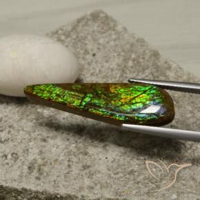 amolita Multicolorido Natural 14.49ct, Chique, Opaco