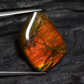 Ammolita multicolorido natural 15,89ct, forma extravagante, opaco