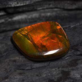 Ammolita multicolorido natural 15,89ct, forma extravagante, opaco