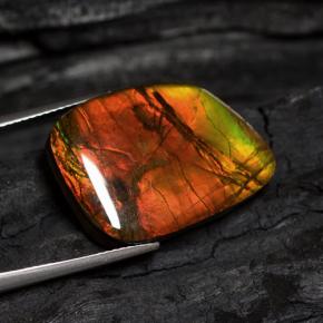 Ammolita multicolorido natural 15,89ct, forma extravagante, opaco