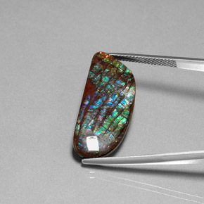 Ammolita Multicolorido Natural 16,86ct, Forma extravagante, Opaco