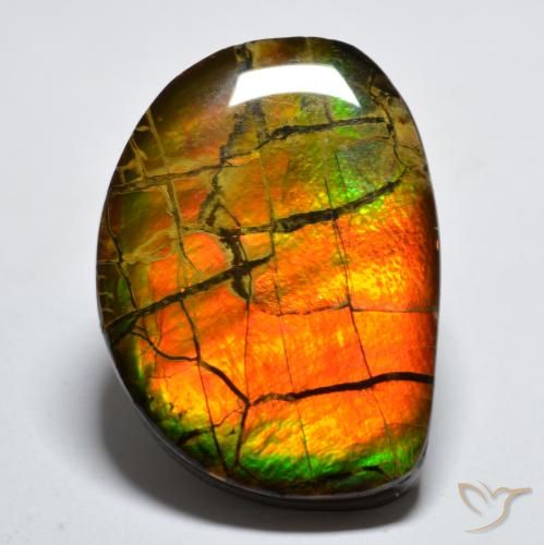 17.11ct Natural Multicolorido amolita, Chique, Opaco