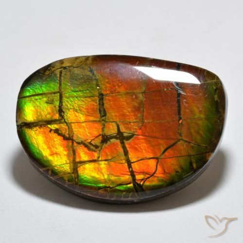 amolita Multicolorido Natural 17.11ct, Chique, Opaco