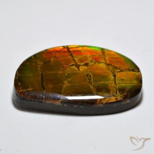 amolita Multicolorido Natural 17.11ct, Chique, Opaco