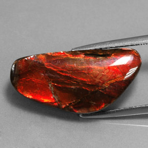 Ammolita multicolorido natural 9,14ct, forma extravagante, opaco