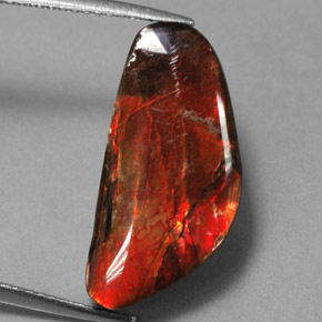 Ammolita multicolorido natural 9,14ct, forma extravagante, opaco