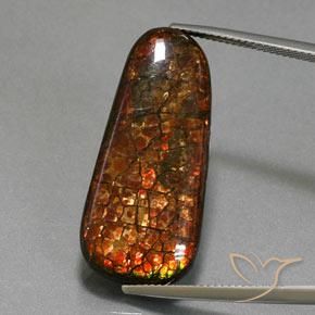 21.40ct Natural Multicolorido amolita, Chique, Opaco