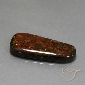amolita Multicolorido Natural 21.40ct, Chique, Opaco
