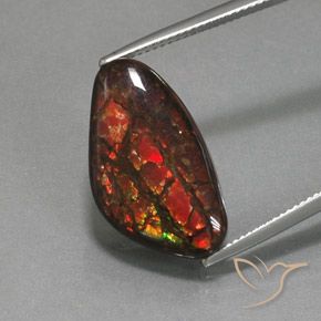 12.58ct Natural Multicolorido amolita, Chique, Opaco