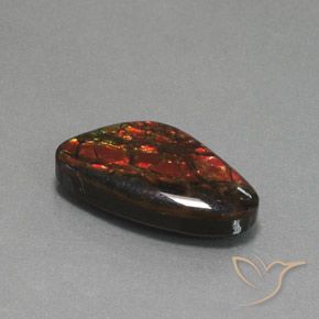 amolita Multicolorido Natural 12.58ct, Chique, Opaco