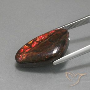 amolita Multicolorido Natural 12.58ct, Chique, Opaco