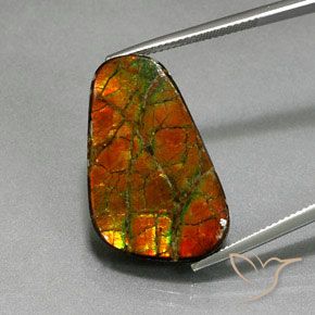 18.59ct Natural Multicolorido amolita, Chique, Opaco