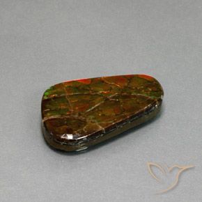 amolita Multicolorido Natural 18.59ct, Chique, Opaco