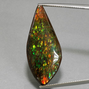 Ammolita multicolorido natural 19,86ct, forma extravagante, opaco