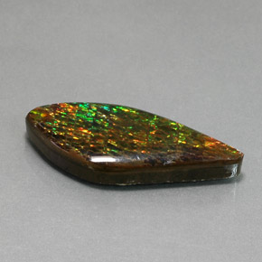 Ammolita multicolorido natural 19,86ct, forma extravagante, opaco